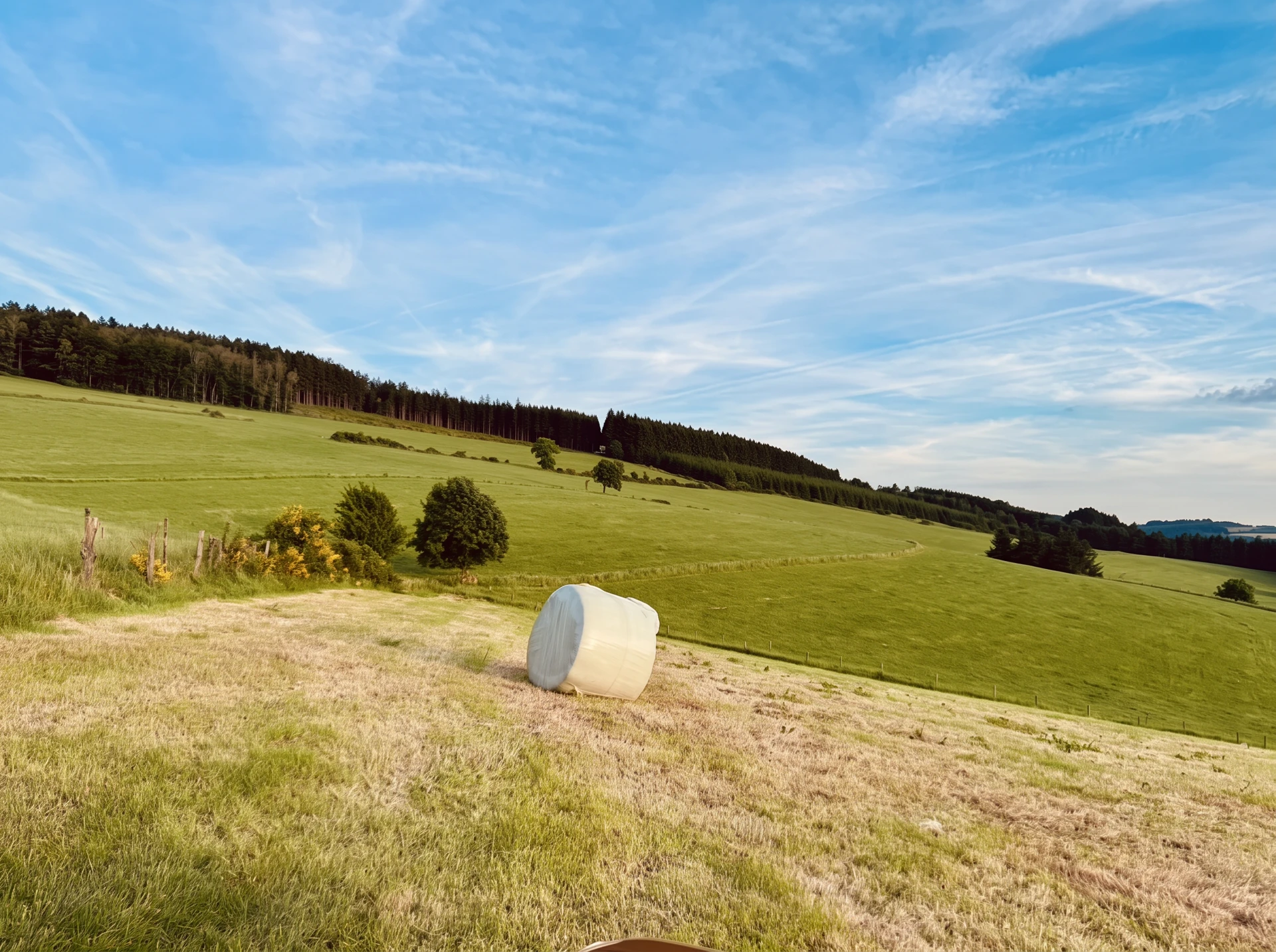Zomerse velden rond de hut